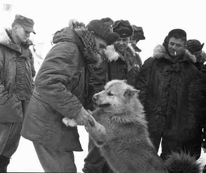 A dog receiving affection from a the crew of drifting station alpha in the Arctic Ocean, illustrating a heartwarming scene of friendship and connection.