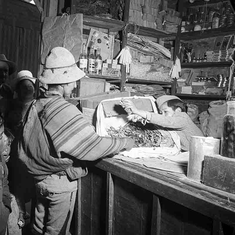 Man purchases Coca Leaf over the counter in Bolivia, 1952