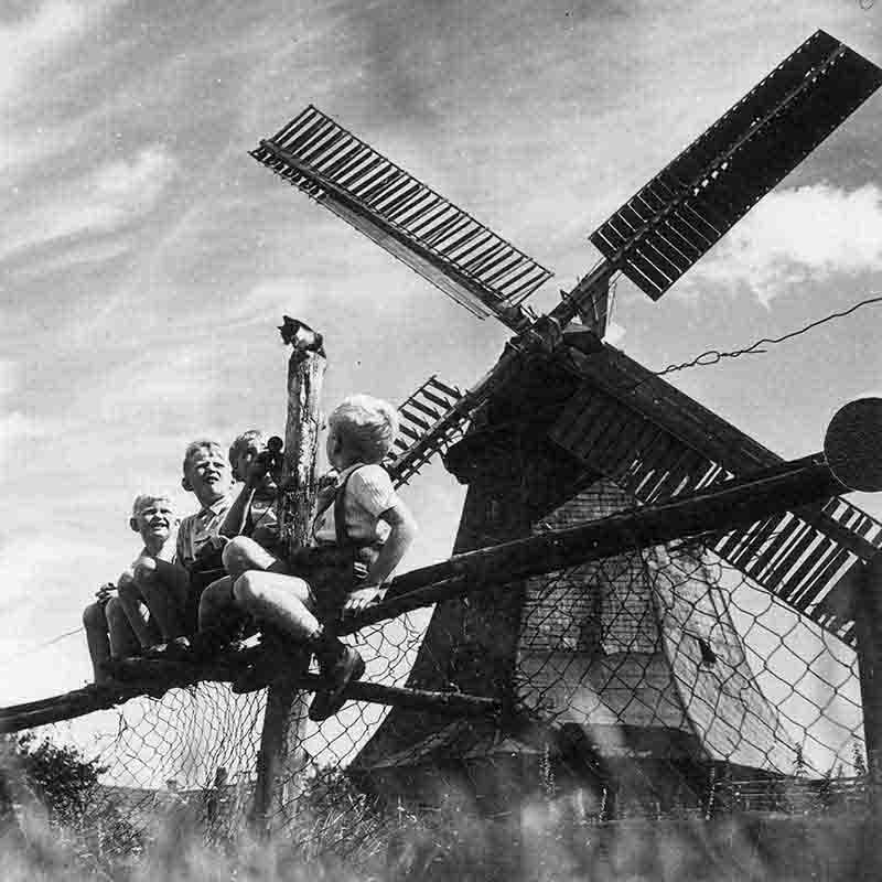 Group of Dutch youths sitting on a fence in front of a windmill in Volendam