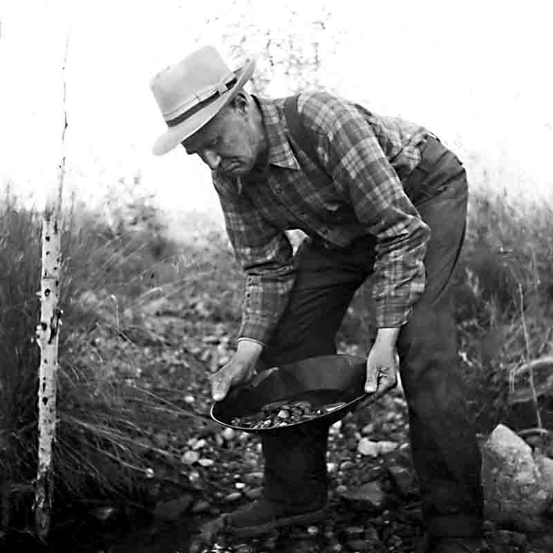 Gold miner panning for gold