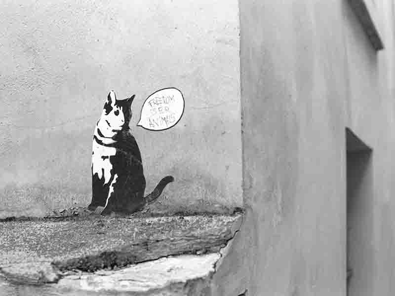 Cat Artwork on Parisian Wall