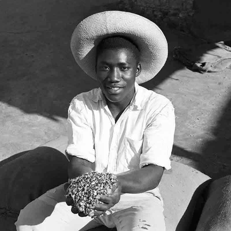 Black Man offering grain